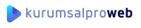Kurumsal Profesyonel Web Siteleri